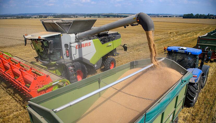 Der Bauernverband zieht eine «ernüchternde» Bilanz der Ernte 2024. (Archivbild)