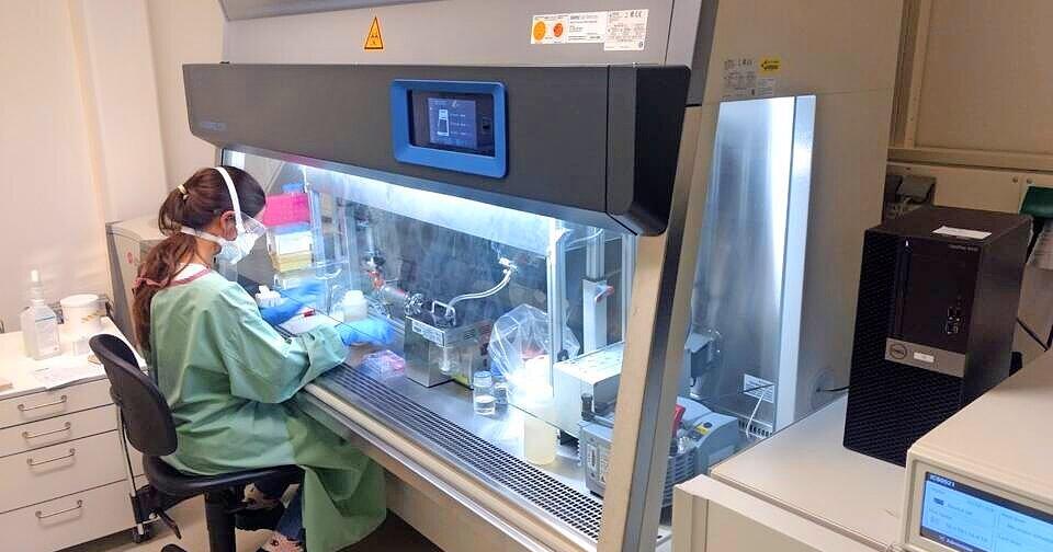 Joynine 12-Gang Fahrradkettenverbinder - 2 Paar Edelstahl Kettenglieder