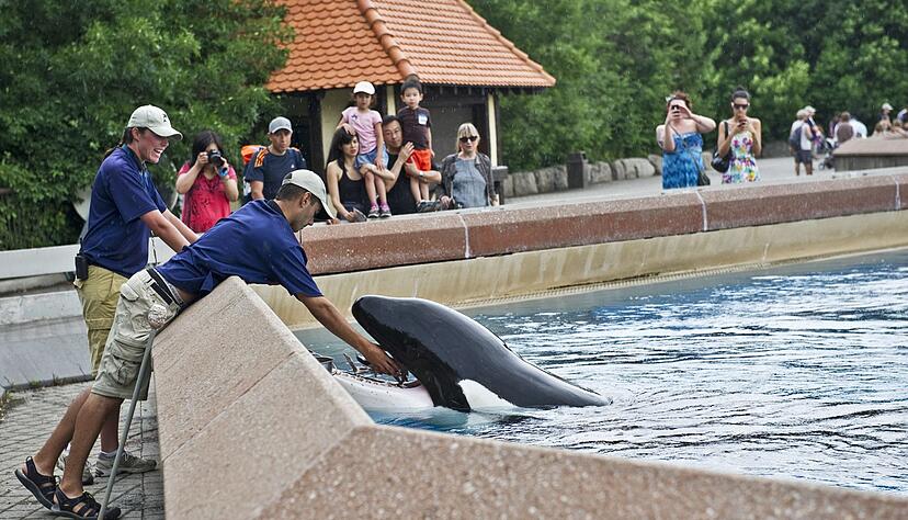Der inzwischen geschlossene Freizeitpark in Kanada warnt, er müsse womöglich seine Tiere einschläfern. (Archivbild) Der inzwischen geschlossene Freizeitpark in Kanada warnt, er müsse womöglich seine Tiere einschläfern. (Archivbild)