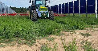 Sonne ernten und trotzdem Landwirtschaft betreiben: Das ist das Ziel von Argi-PV-Anlagen. In F&uuml;rfeld steht bereits eine, in Bonfeld soll jetzt eine weitere dazukommen.