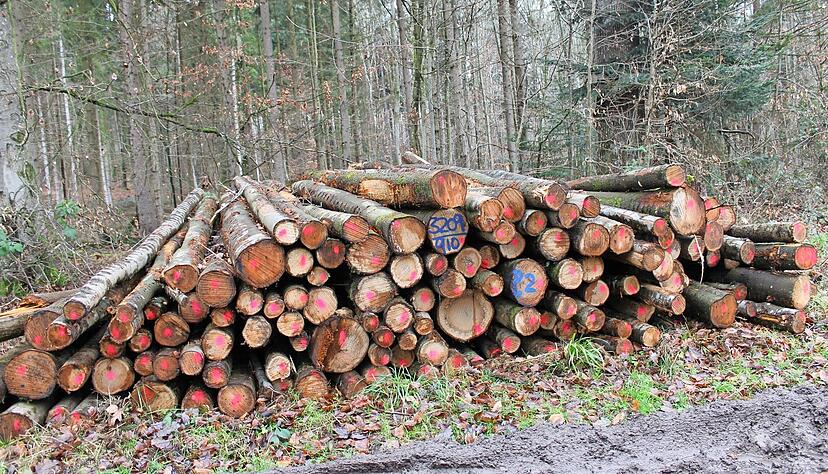 Brennholz
Foto: Archiv/Hofmann