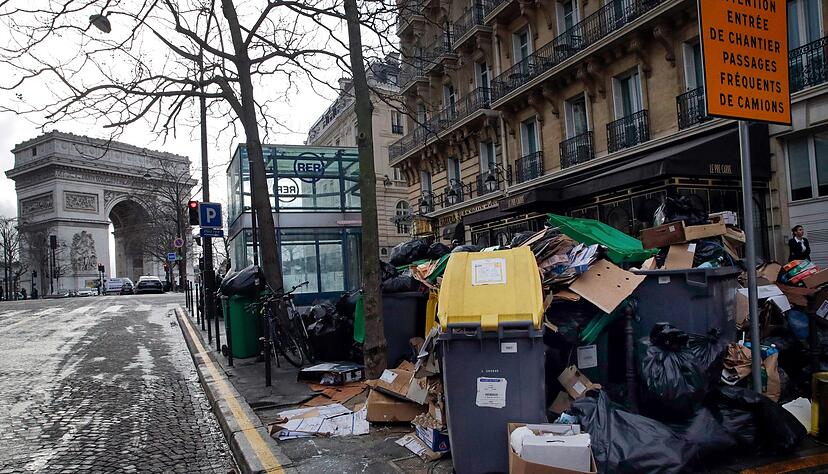 Im Kommunalwahlkampf in Paris versprechen viele Kandidatinnen und Kandidaten f&uuml;r das B&uuml;rgermeisteramt ein h&auml;rteres Vorgehen gegen Ratten. (Archivbild)
