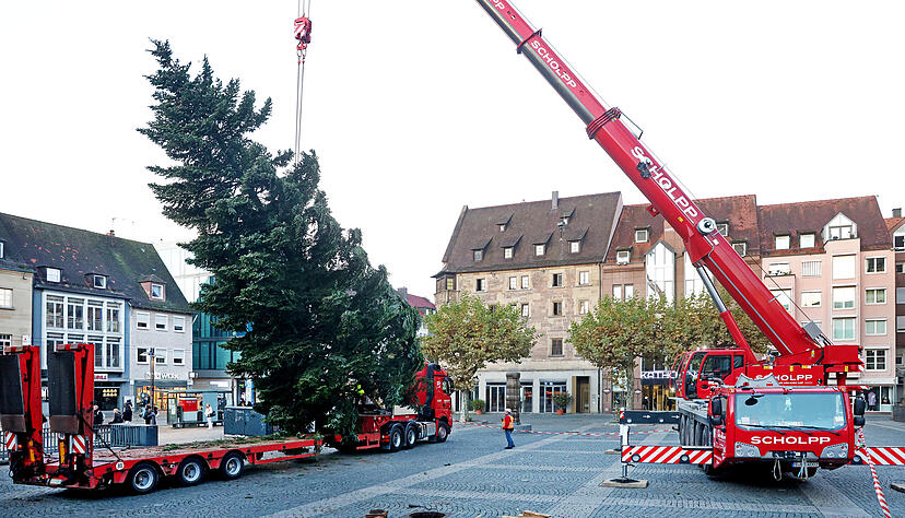 Der Heilbronner Marktplatz wird in diesem Jahr von einer 47 Jahre alten und 16 Meter hohen Weißtanne aus Ilsfeld geschmückt. Der Heilbronner Marktplatz wird in diesem Jahr von einer 47 Jahre alten und 16 Meter hohen Weißtanne aus Ilsfeld geschmückt.