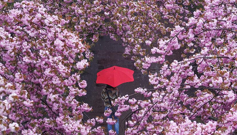 Aktiv werden, damit die Stimmung besser wird: Auch wenn das mit einer Depression nicht immer einfach ist - Bewegung an der frischen Luft kann Betroffenen helfen.