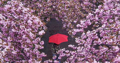 Aktiv werden, damit die Stimmung besser wird: Auch wenn das mit einer Depression nicht immer einfach ist - Bewegung an der frischen Luft kann Betroffenen helfen.