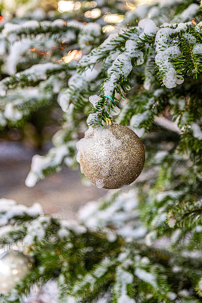 Die Aufbauarbeiten für Winterzauber am Trappensee laufen.