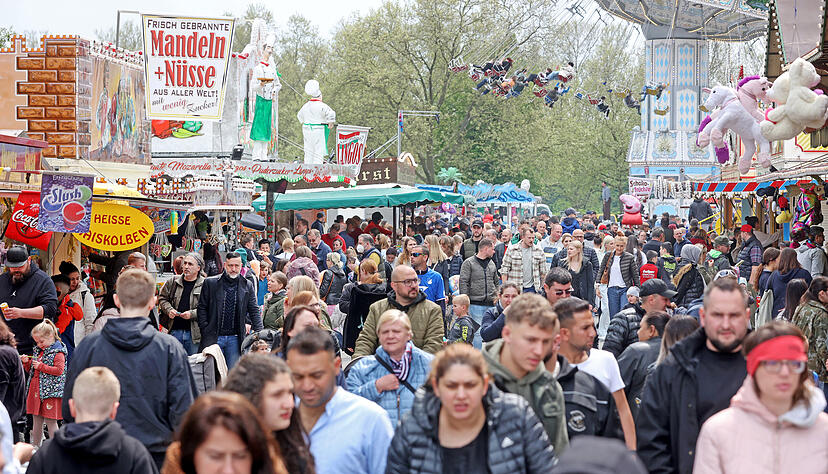 Maifest