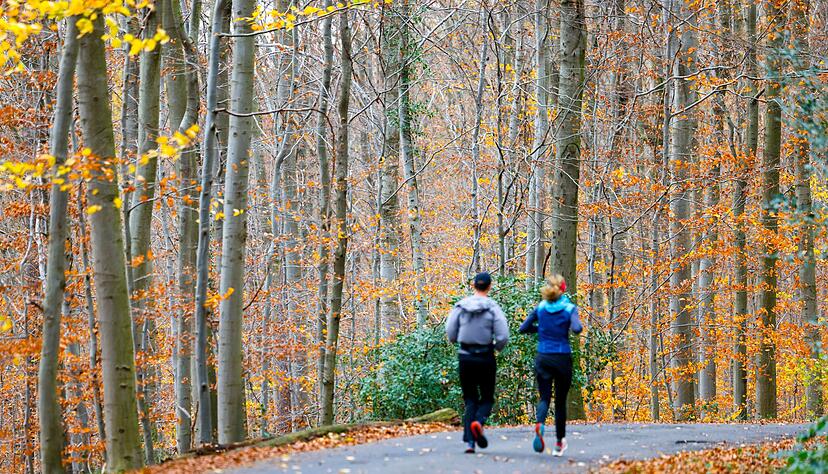 Wenn sich der Nebel lichtet, wird es in vielen Teilen Deutschlands sonnig.
