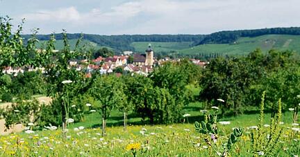 Eberstadt liegt wunderschön zwischen Wiesen, Feldern und Weinbergen. Wie artenreich die Natur rund um die Gemeinde ist, könnte im Biodiversitäts-Check aufgezeigt werden. Noch ist aber nichts entschieden.Foto: Dennis Mugler