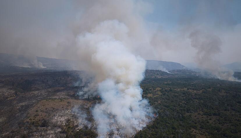 Hohe Temperaturen und starke Winde erschweren die L&ouml;scharbeiten.