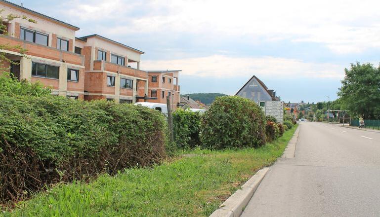Der Grünstreifen zwischen Steige und Bundesstraße wird neu gestaltet, nachdem die Straßenarbeiten im Wohngebiet abgeschlossen sind.
Foto: Simon Gajer