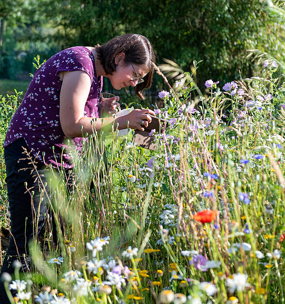 XXL-Lesersommer: Naturgartenbesuch bei Heimatreporter Magnus Diller in Oedheim