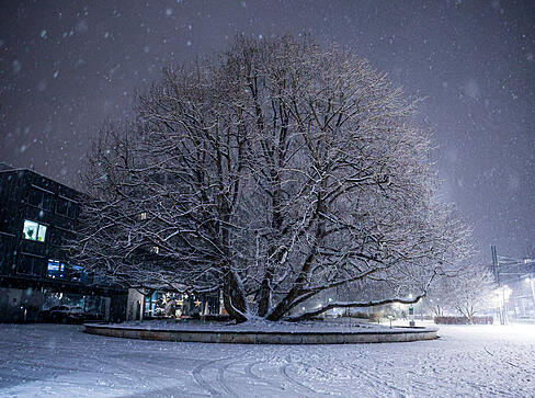 Am Sonntagabend setzte in Heilbronn starker Schneefall ein. Das Foto zeigt den Platz an der Harmonie. Am Sonntagabend setzte in Heilbronn starker Schneefall ein. Das Foto zeigt den Platz an der Harmonie.