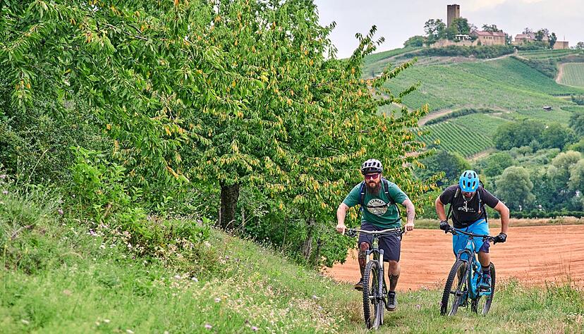 Radfahren, zum Beispiel rund um die Ravensburg in Sulzfeld, ist ein Thema, das den Tourismus im Kraichgau prägt. Wein und Genuss sind eher im westlichen Teil zu Hause.
Foto: Kraichgau-Stromberg Tourismus e.V. Radfahren, zum Beispiel rund um die Ravensburg in Sulzfeld, ist ein Thema, das den Tourismus im Kraichgau prägt. Wein und Genuss sind eher im westlichen Teil zu Hause.
Foto: Kraichgau-Stromberg Tourismus e.V.