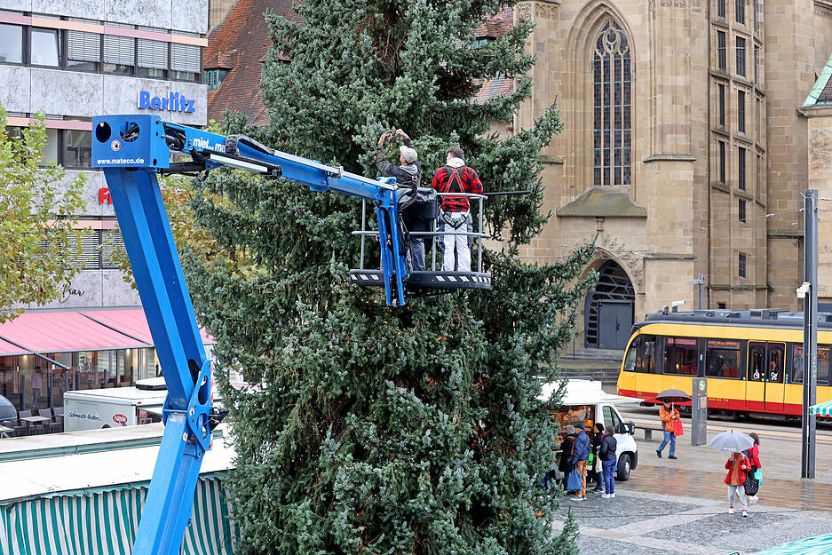 Weihnachtsbaum auf Heilbronner Marktplatz aufgestellt