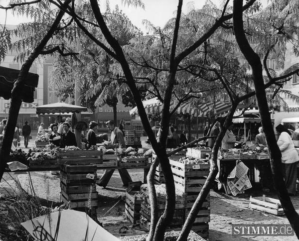Ländliche Idylle auf dem Heilbronner Wochenmarkt 1976. Ländliche Idylle auf dem Heilbronner Wochenmarkt 1976.