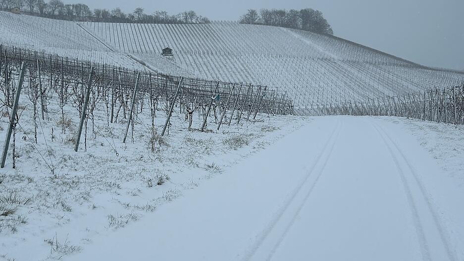 Der Lindelberg in der Gemeinde Pfedelbach zeigt sich winterlich weiß.