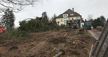 Motorsägen und Häckselmaschine kommen zum Einsatz, als Mitarbeiter eines Gartenbau-Unternehmens am Wochenende den Bewuchs rund um die Villa Fuchs entfernen. Der Zeitpunkt stößt manchem Nachbarn übel auf.
Foto: Alexander Klug