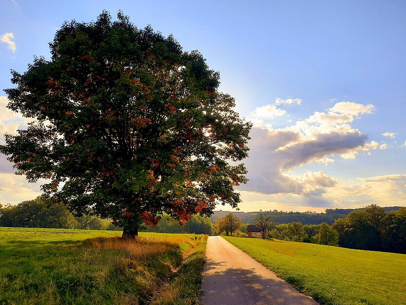 "Der Herbst ist der Frühling des Winters", schreibt meine.stimme-Heimatreporterin Stephanie Rüdele über ihr Foto.