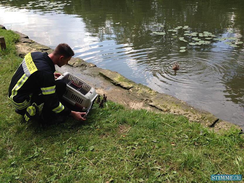 Feuerwehr rettet Entenfamilie | 02.07.
