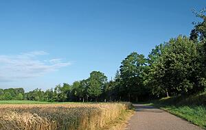 Erstaunlich: Auf den Radwegen ist man so gut wie allein unterwegs, hier zwischen Obersulm-Sülzbach und Weinsberg-Ellhofen. Foto: Andreas Tschürtz Erstaunlich: Auf den Radwegen ist man so gut wie allein unterwegs, hier zwischen Obersulm-Sülzbach und Weinsberg-Ellhofen. Foto: Andreas Tschürtz