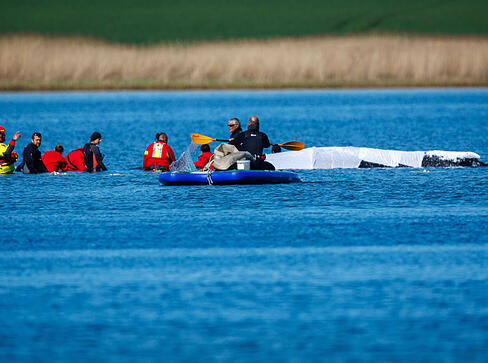 Helfer bereiten Gurte zum Ziehen des gestrandeten Buckelwals vor der Insel Poel vor.