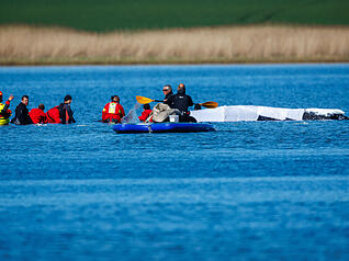Helfer bereiten Gurte zum Ziehen des gestrandeten Buckelwals vor der Insel Poel vor.
