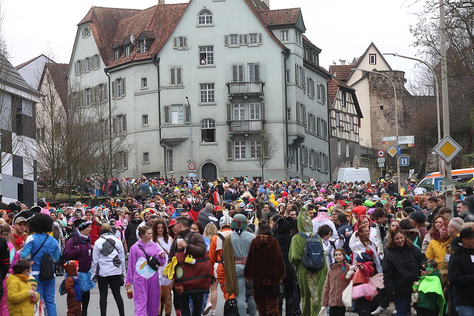 Bei trockenem Wetter sind rund 10.000 Besucher zum Faschingsumzug nach Bad Wimpfen gekommen.