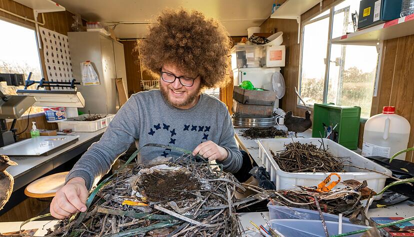 Auke-Florian Hiemstra untersucht Vogelnester wissenschaftlich und macht dabei erstaunliche Entdeckungen.