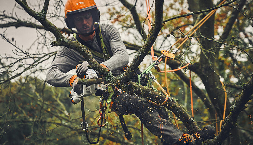 Akku-Produkte werden für Stihl immer wichtiger. Deshalb stehen bei den Waiblingern einige Veränderungen an.