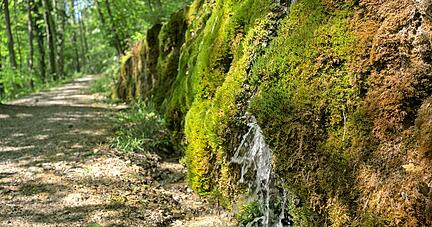 In einer Rinne auf diesem Damm fließt das Wasser ins Tal. Wegen der Form des Endlaufs wird diese Naturerscheinung Kuharsch genannt.
Fotos: Andreas Scholz