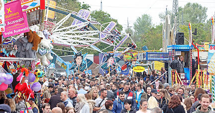 Maifest