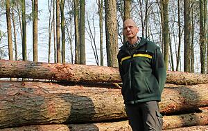 Mehr Zulauf im Wald verzeichnet Förster Jens Hey. Derzeit lenken sich Bürger beim Spazierengehen im Erholungsgebiet ab. Mehr Zulauf im Wald verzeichnet Förster Jens Hey. Derzeit lenken sich Bürger beim Spazierengehen im Erholungsgebiet ab.