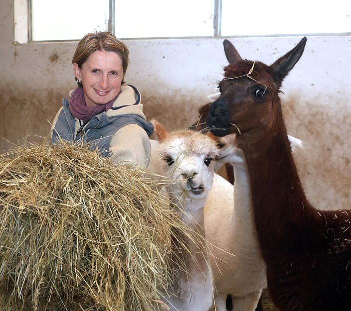 Kathrin Seidel inmitten ihrer Alpakas auf dem Maienackerhof in Bad Friedrichshall-Kochendorf