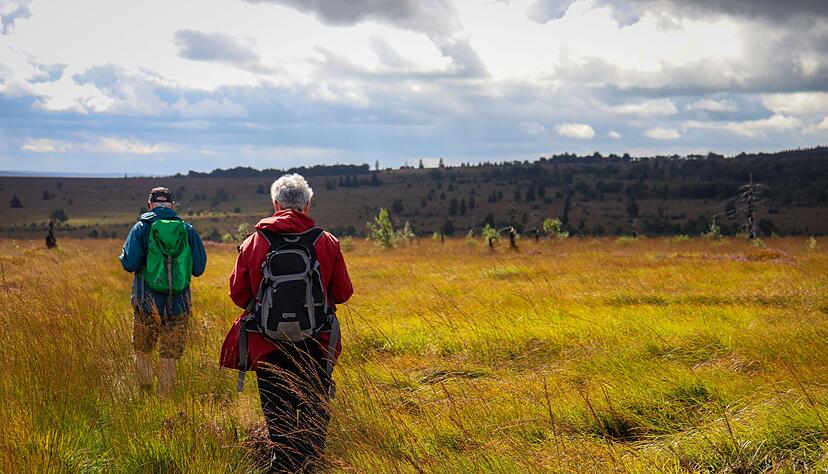 Lange Hosenbeine, am besten in die Socken gesteckt: Wer so in der Natur unterwegs ist, macht es Zecken schwer.