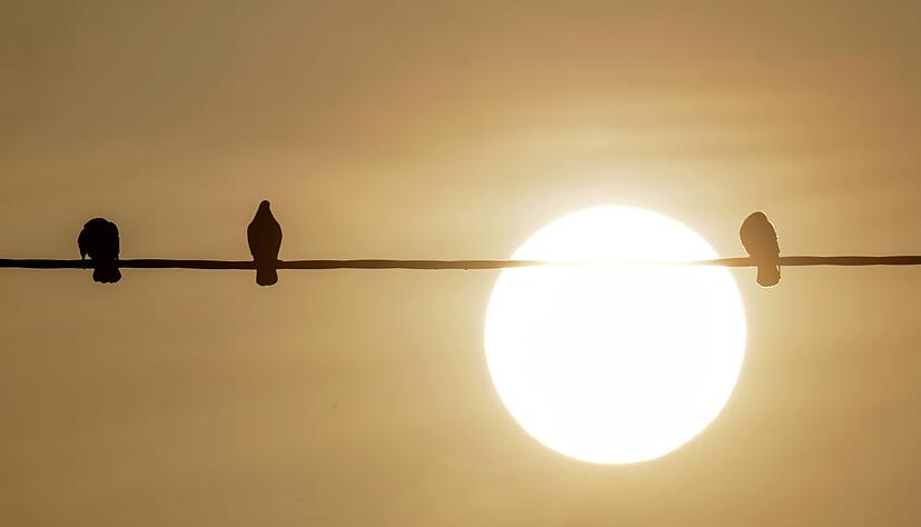 Der Saharastaub ist vor allem bei Sonnenaufgang und Sonnenuntergang gut sichtbar.
