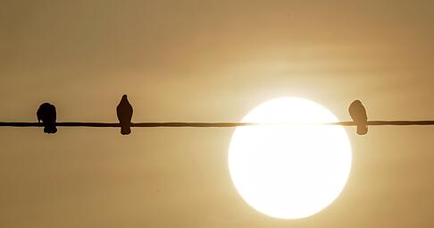 Der Saharastaub ist vor allem bei Sonnenaufgang und Sonnenuntergang gut sichtbar.