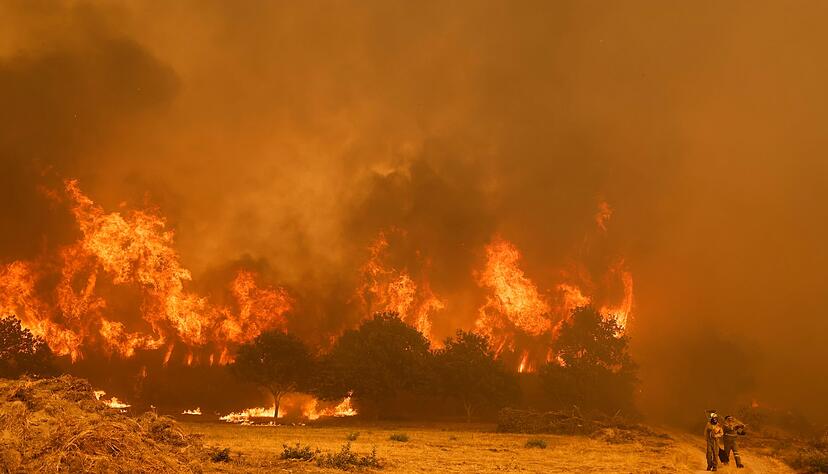 Die Brandbek&auml;mpfer sehen sich teilweise mit riesigen Feuerw&auml;nden konfrontiert, die durch st&uuml;rmische Winde jederzeit schnell die Richtung &auml;ndern k&ouml;nnen.