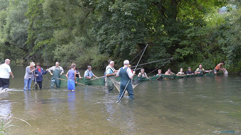 Fischrettung Siglingen | 28.08.2015