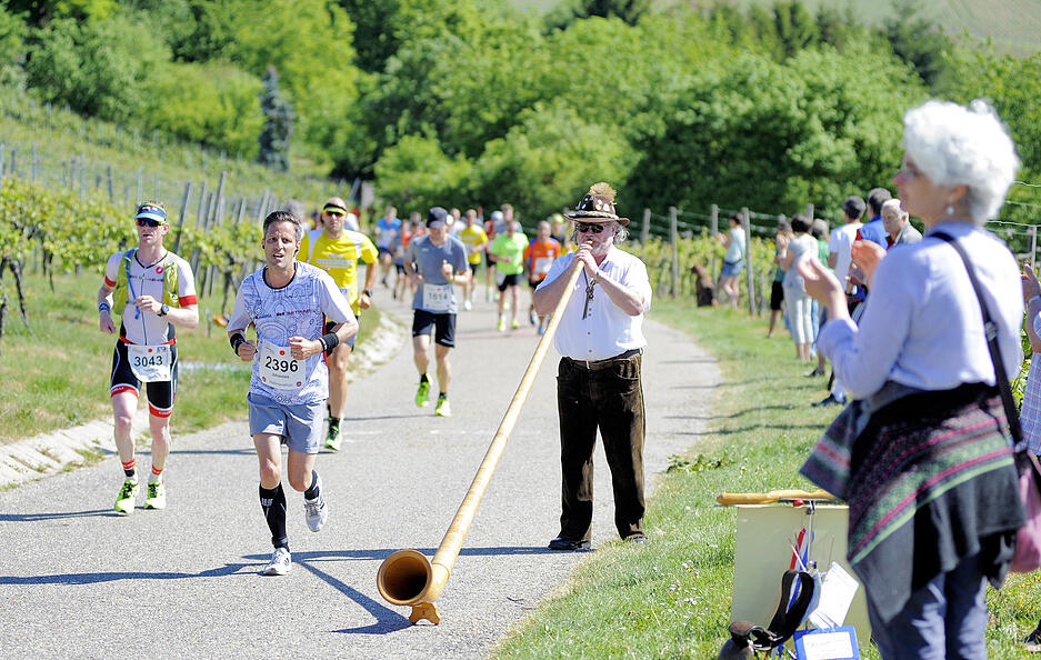 Trollinger Marathon bei Flein