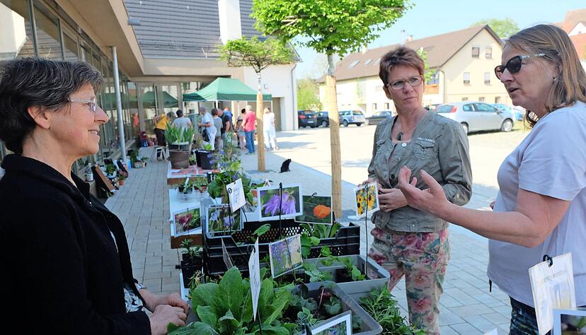 Im regen Austausch: Ingrid Kusserow (von links) von der Aktion "Offene Gärten", Andrea Schubert-Junken und Iris Eurich.
Foto: Günther Weber Im regen Austausch: Ingrid Kusserow (von links) von der Aktion "Offene Gärten", Andrea Schubert-Junken und Iris Eurich.
Foto: Günther Weber
