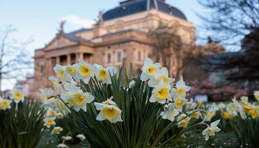 Temperaturen bis zu 18 Grad erwartet der Wetterdienst in den kommenden Tagen. Temperaturen bis zu 18 Grad erwartet der Wetterdienst in den kommenden Tagen.