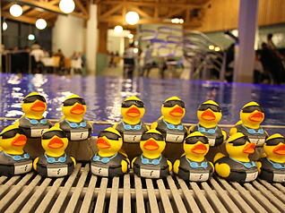 Das Solebad Niedernhall startet am Mittwoch, 3. Dezember, in den Probebetrieb. Das Solebad Niedernhall startet am Mittwoch, 3. Dezember, in den Probebetrieb.