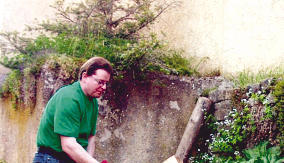 Eine Mini-Mieze namens Frosch erobert die Herzen im Sturm