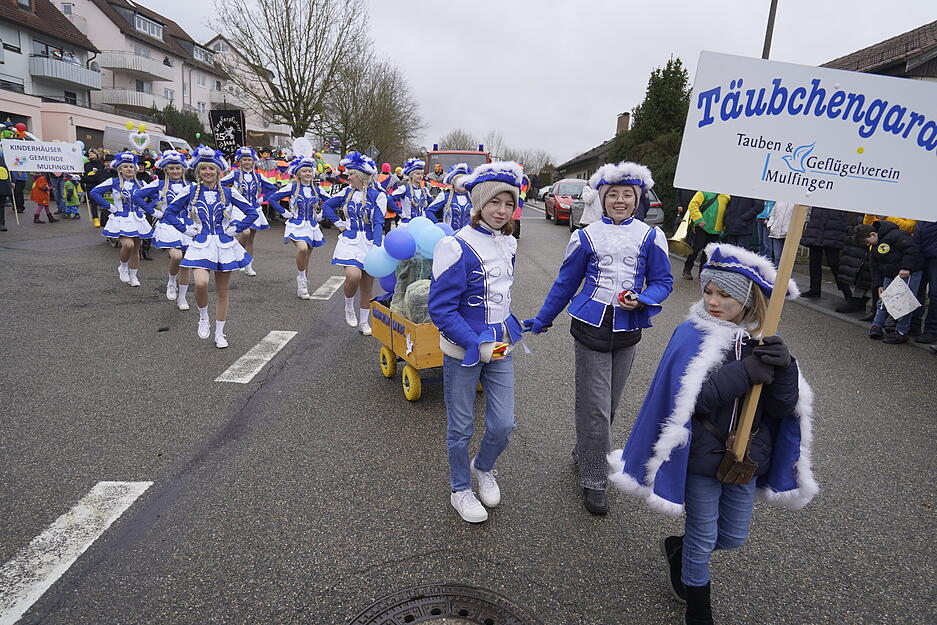 Die blau-weiß gewandeten Tänzerinnen der Täubchengarde machten dem Tauben- und Geflügelmarkt alle Ehre.