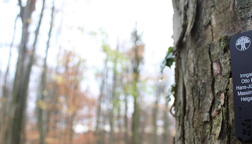 An einem Gemeinschaftsbaum stehen die Namen der Verstorbenen.
