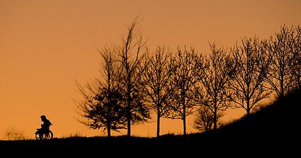 Mobilit&auml;tseingeschr&auml;nkte Menschen sollten vor ihrer Tour wissen, was sie erwartet. Doch nicht &uuml;berall ist es so leicht wie im Schw&auml;bisch-Fr&auml;nkischen Naturpark.
Foto: dpa