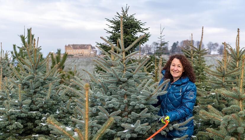 Susanne Langer rechnet mit einer großen Nachfrage. Auf dem Harthof in Untergruppenbach können Kunden ihren eigenen Weihnachtsbaum fällen. Sägen gibt es vor Ort. Sie werden nach jedem Nutzer desinfiziert.
Foto: Mario Berger Susanne Langer rechnet mit einer großen Nachfrage. Auf dem Harthof in Untergruppenbach können Kunden ihren eigenen Weihnachtsbaum fällen. Sägen gibt es vor Ort. Sie werden nach jedem Nutzer desinfiziert.
Foto: Mario Berger