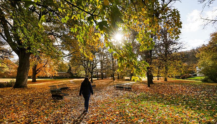 Kein Regenschirm nötig – ein sonniger Tag steht an. Kein Regenschirm nötig – ein sonniger Tag steht an.