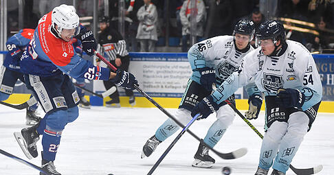Sebastian Hon (links) erzielte für die Falken in Deggendorf den zwischenzeitlichen 1:1-Ausgleich.